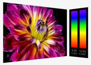 Incredible Color Accuracy
