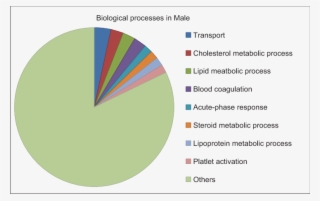 Enriched Biological Processes In Males During Lower