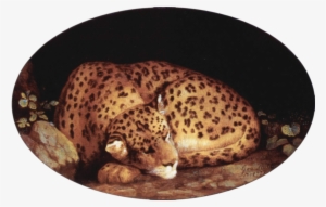 File - George Stubbs - Leopard - George Stubbs Leopard