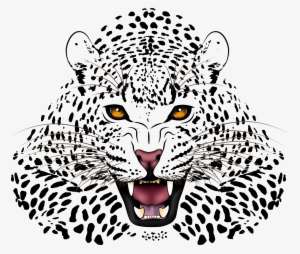 Free Leopard Jaguar Illustration - Angry Cheetah Face Drawing