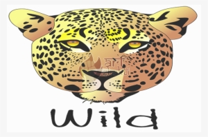Leopard Graphics Art Wild