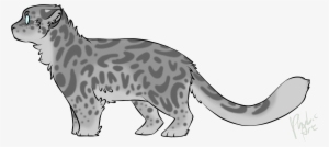 Felidae Snow Leopard Cat Cougar - Felidae
