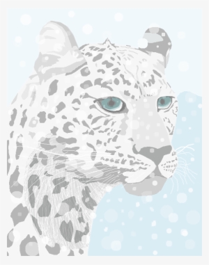 Snow Leopard - Illustration