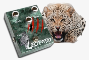 Leopard - Leopard Cheetah Art Large Doormat Neoprene Backing