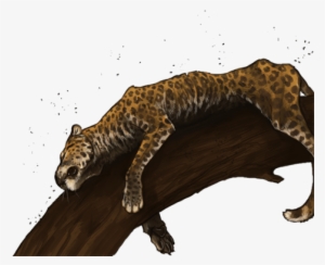 Deadleopardday - Jaguar