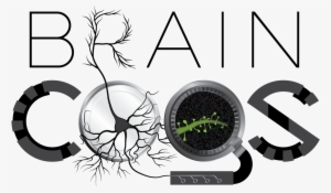 Brain Cogs On White Brain Cogs On White - Research