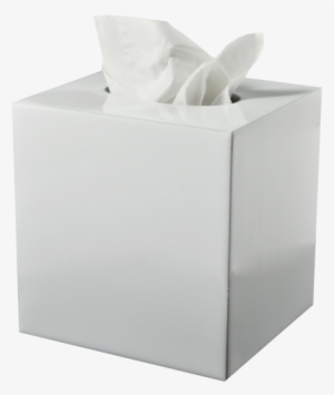 Mike & Ally Essentials Pure White Mod Tissue Box