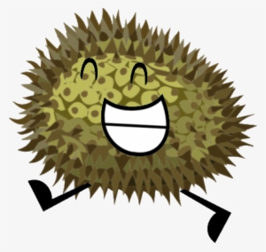 Durian - Misc Durian