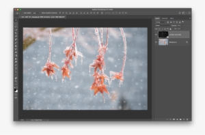In The Layers Panel, Change The Blending Mode Of The - Adobe Photoshop