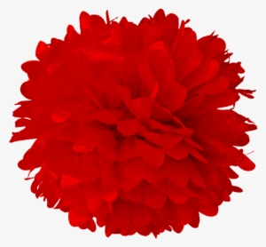 Red Tissue Pom Poms - Turquoise Blue 20 Inch Tissue Paper Flower Pom-pom