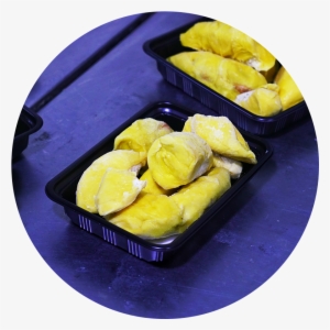 Products - Tamagoyaki