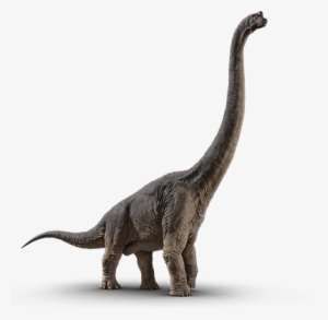 Size Chart - Jurassic World Fallen Kingdom Brachiosaurus