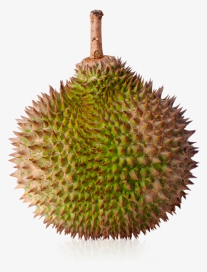 Durian Png Download - Durian