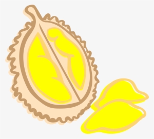 Durian - Illustration