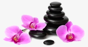 At Maple Beauty Spa We Offer Variety Of Services - Juju Aroma Aromatherapy Best 6 100% Pure Therapeutic