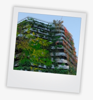 Vertical Gardens - Picture Frame