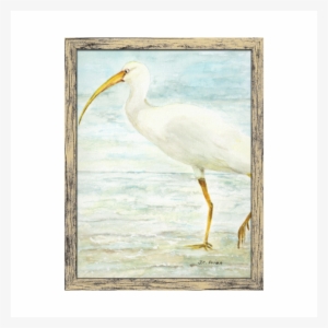 White Ibis On The Shore Beach Watercolor Painting Stretched - Painting
