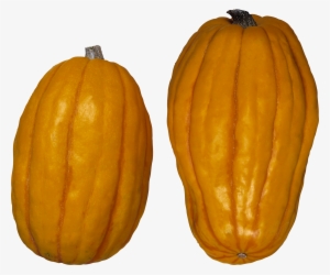 Pumpkin Png Images Free Download Banner Black And White - Winter Squash