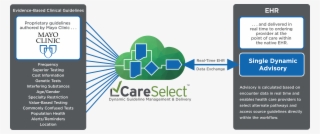 Careselect Lab Provides Real-time Guidance And Addresses