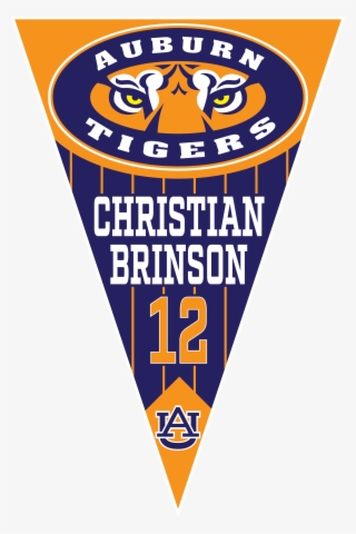 Auburn Tigers 8u
