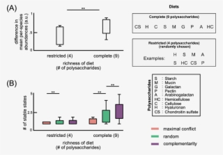 Contrast Between Restricted And Complete Diets In Bacteroides