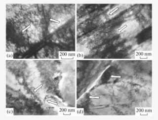 Electron Microscope Image Of The 20cr23ni18 Steel Structure