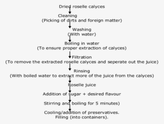Flow Chart For The Production Of Zobo Beverage - Flowchart For The Production Of Zobo Drink