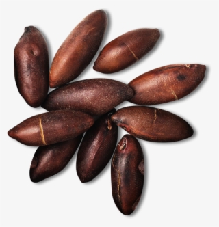 The Healthiest Nuts In The World* - Baruka Nut