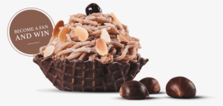 The Original Maroniblüte - Chocolate