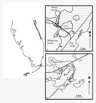Collection Sites For Two Populations Of Costasiella - Line Art