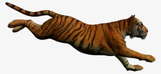 Tiger Running With White Background