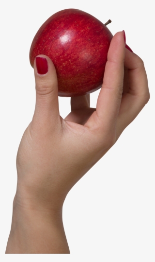 A Hand Holding A Red Apple Png Image