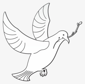 Holy Spirit PNG & Download Transparent Holy Spirit PNG Images for Free ...