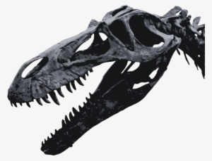 Torvosaurus Skull Head