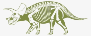 Skeleton - Dinosaurs Profiles