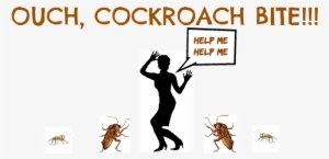 Cockroach Bite - Cockroaches Bite