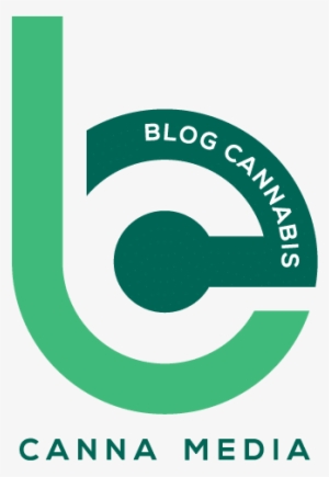 blog-cannabis - avisia
