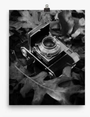 Vintage Camera Art Print Rachel Allison Shop - Camera