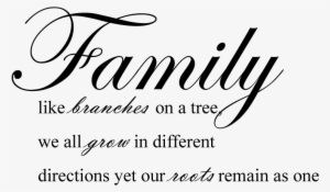 Inspirational Quotes About Family - Design With Vinyl Family Is What Happens R: Black,