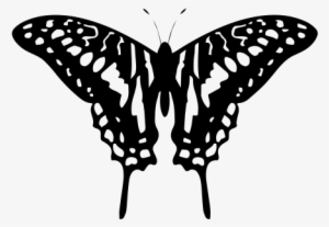 Free Black And White Butterfly Tattoo Design ❥❥❥ Https - Black And White Butterfly Designs