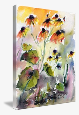 Coneflower Drawing Watercolor - Watercolor Painting