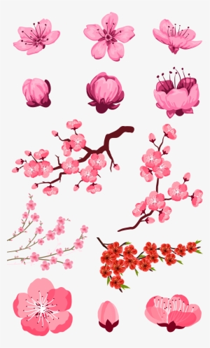 Adobe Download Pink Peach Transprent Png Free - Flores De Árbol De Cerezo Dibujos