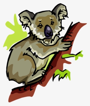 Clipart Of Koala