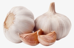 Garlic Png