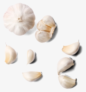 Garlic Transparent Image - Garlic
