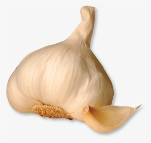 Garlic Free Png Image - Transparent Images Of Garlic Peels