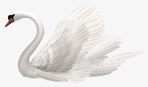 White Swan Png Clipart Image - Swan Png