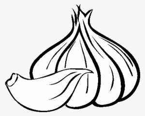 Garlic Drawing Png - Ajo Dibujo Png