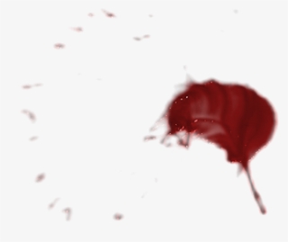 Blood Spatter 02 - Blood Splatter