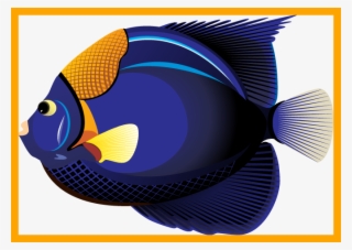 Fascinating Collection Of Fish Clipart Bw High Quality - Tropical Ocean Fish Transparent